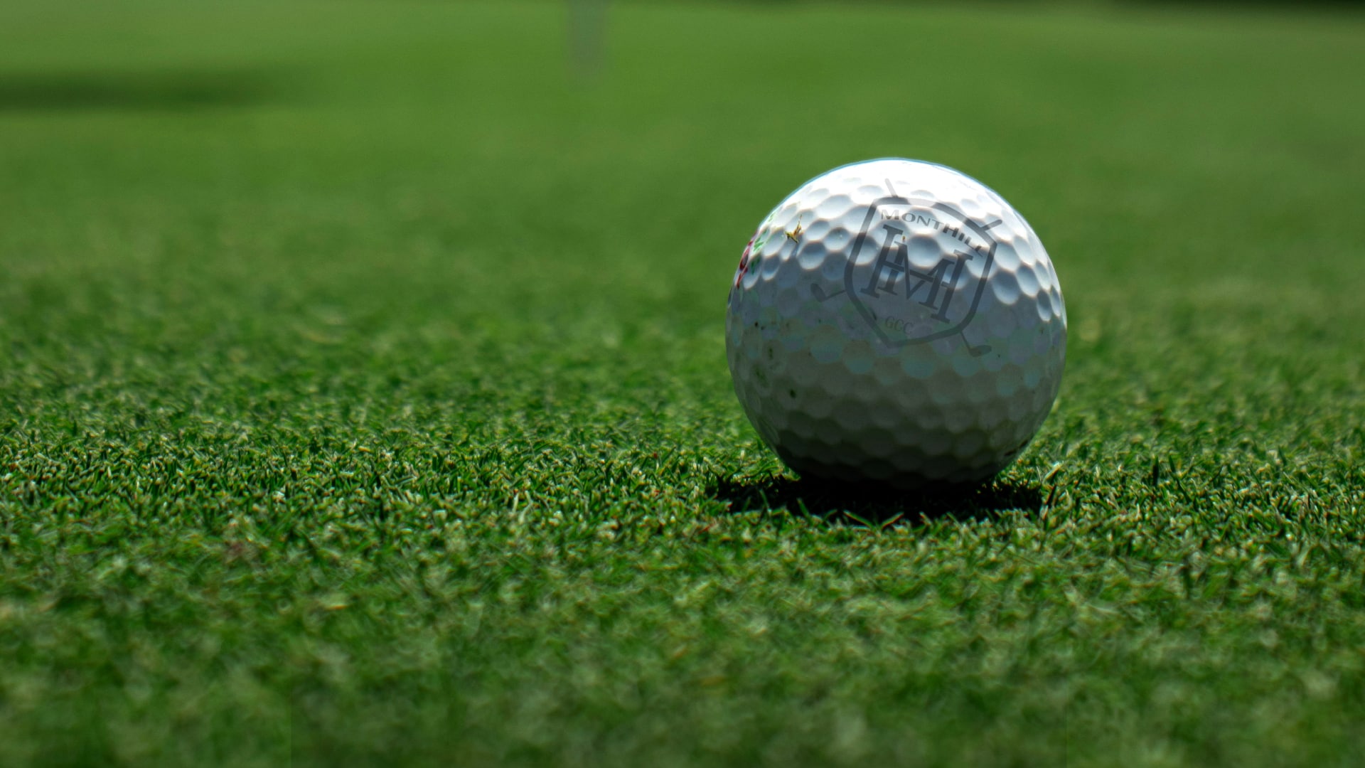 2025 Course Opening Date